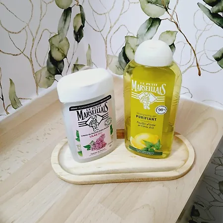 Gare - Parking Gratuit Апартаменты *