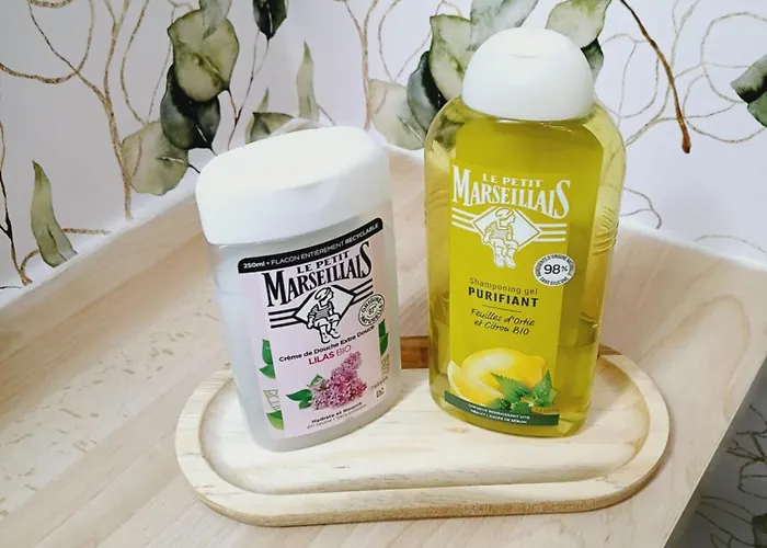 Gare - Parking Gratuit Apartmán *