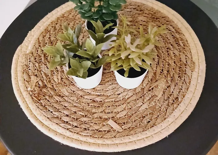 公寓 Gare - Parking Gratuit 鲁昂